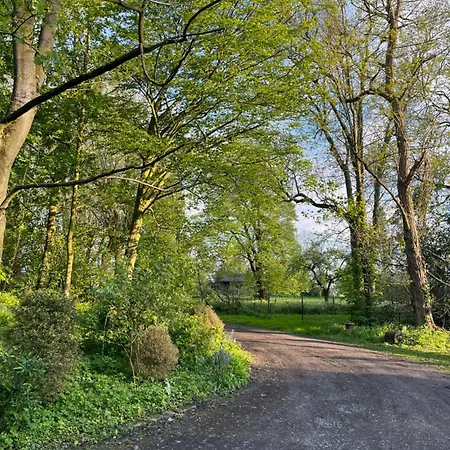 Maison d'hôtes Le Pellegrin Halluin